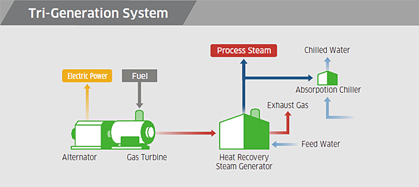 Tri-Generation System