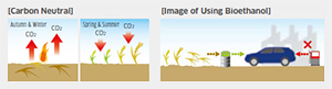 Circulation and utilization of carbon such as waste rice straw